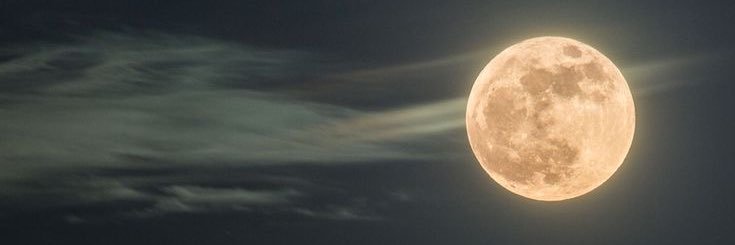 RoFlor__'s profile banner image