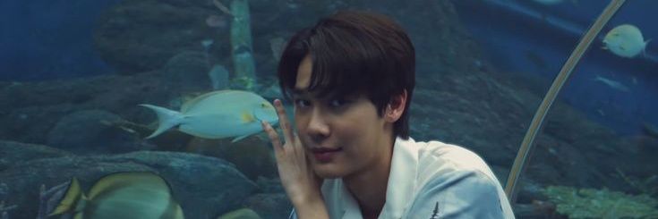 ⭒๋𐙚 ebi banner