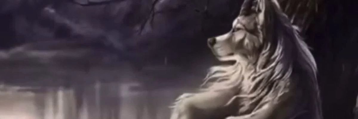 jskjbah's profile banner image