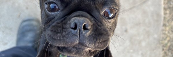 Dodgernaut Profile Banner