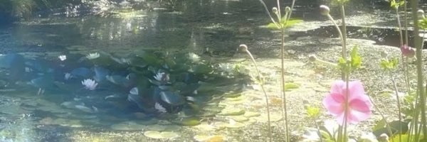 Juniperfem Profile Banner