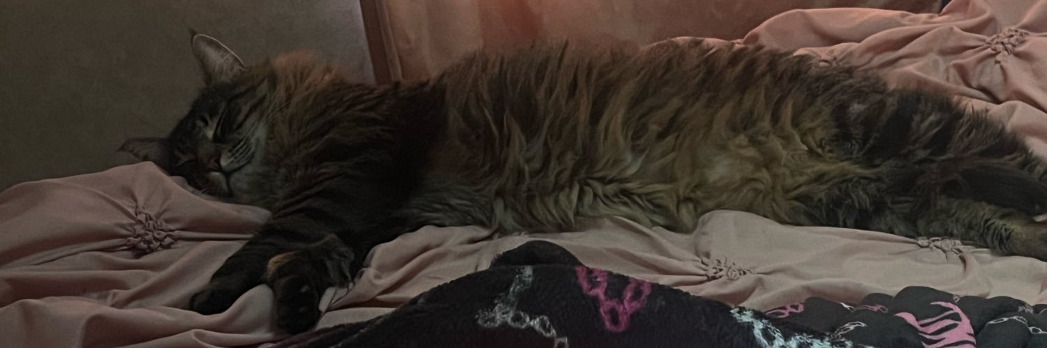 suicidalbitch banner
