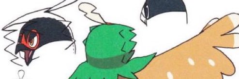 Bisexual Decidueye's banner