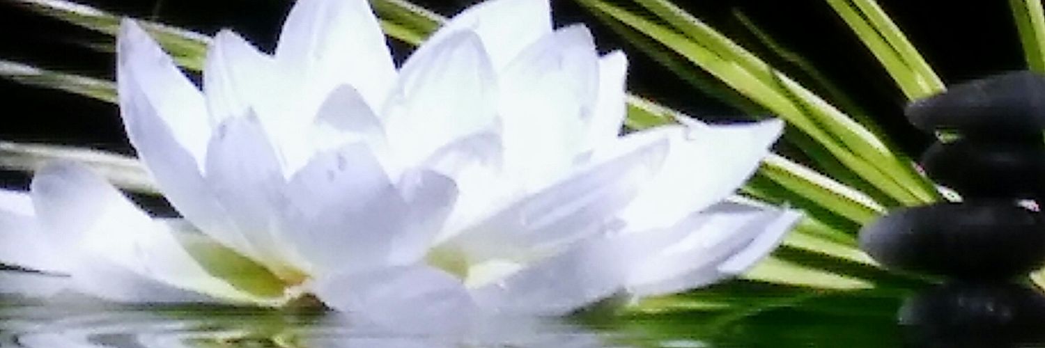 LSilviaN's profile banner image