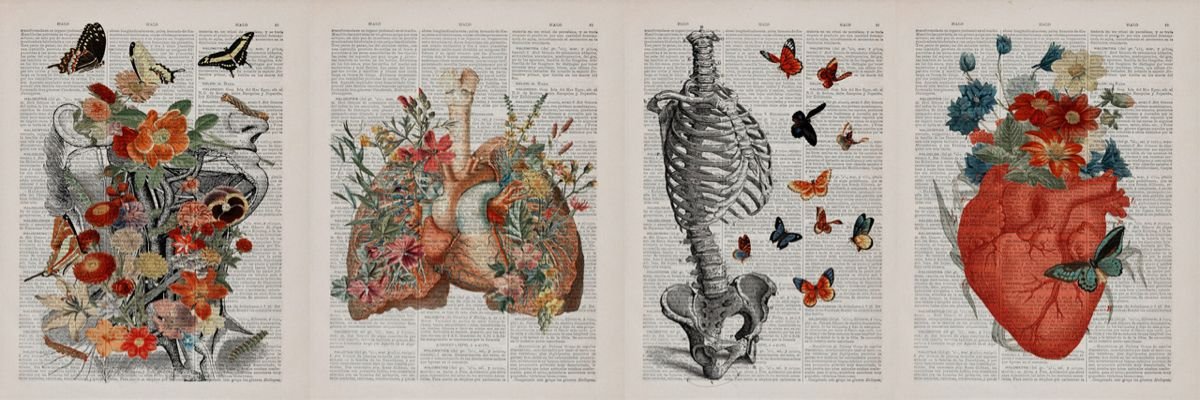 𝙏𝙃𝙀 𝙏𝙃𝙀𝙍𝘼𝙋𝙄𝙎𝙏. banner