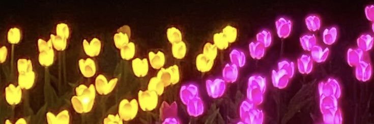 ꧁𝒟ℯ𝓈𝓉𝒾𝓃𝓎꧂ banner