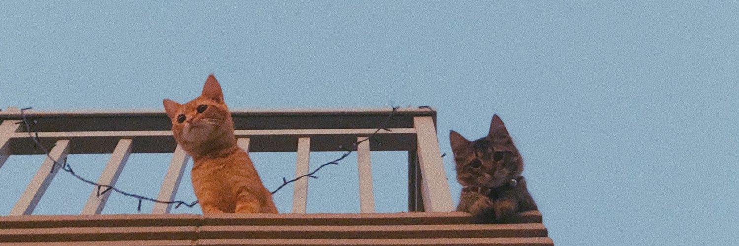 BeaTrina_'s profile banner image