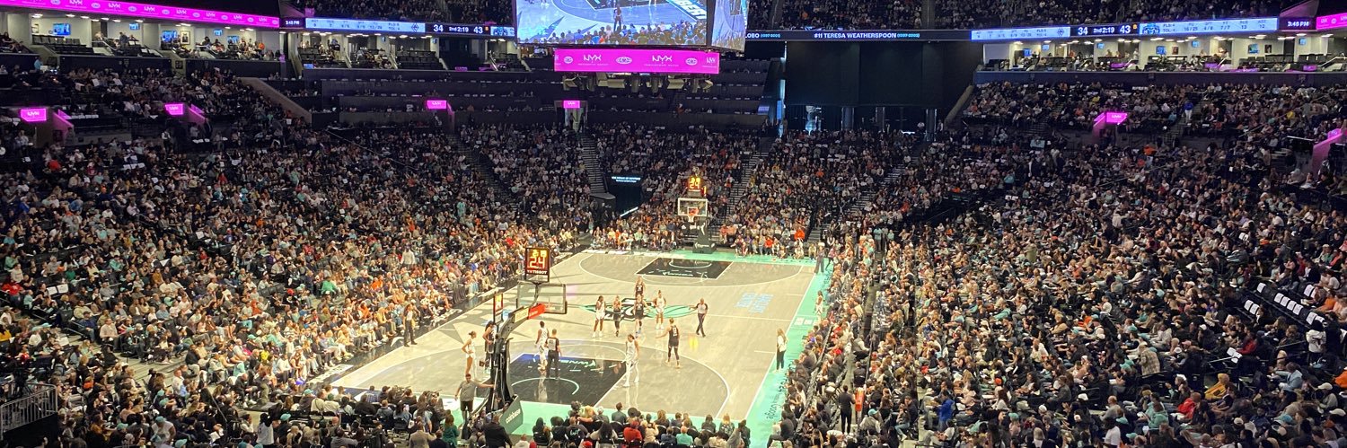 SSN- New York Liberty's banner