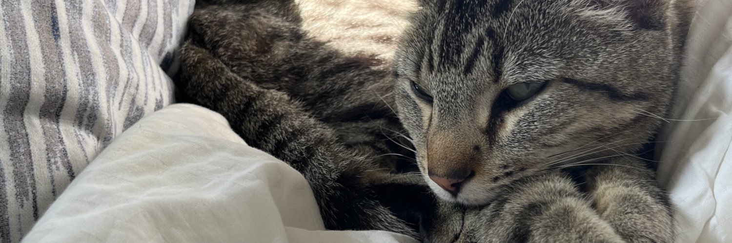 WillbeauxOffish's profile banner image