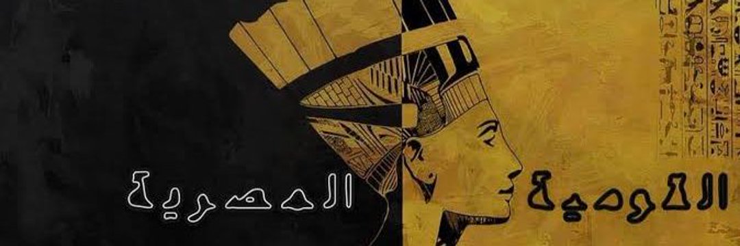 Danial akl 🇪🇬💪's banner