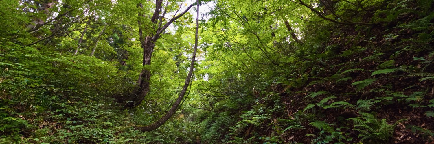 無糖派さん banner