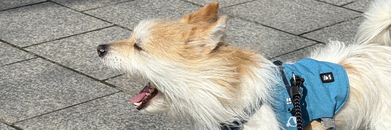 이름은 귀리 🕯️가족 찾은 찰떡 banner