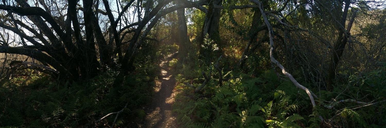 Palo Alto Open Space banner