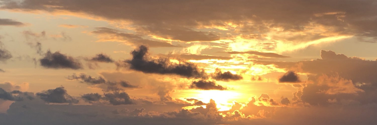 vsanchinsko's profile banner image