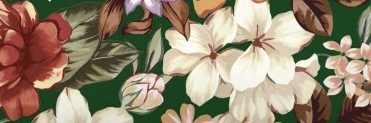 bbarbarizei's profile banner image