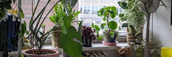 damebello Profile Banner