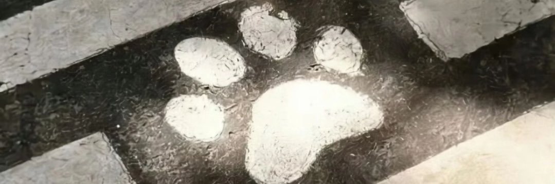 cuishubingbb78's profile banner image