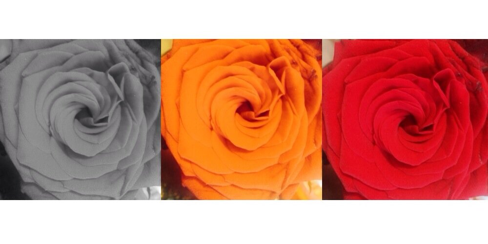 BriaunaMonroee's profile banner image