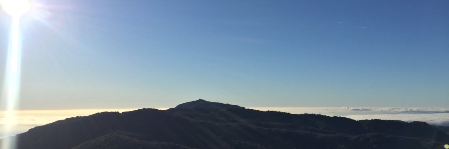 jdcalcomas's profile banner image