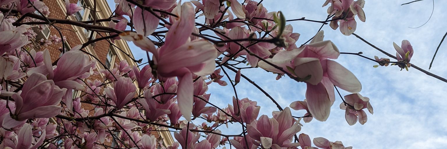 Simon de la Rouviere 🌇 banner