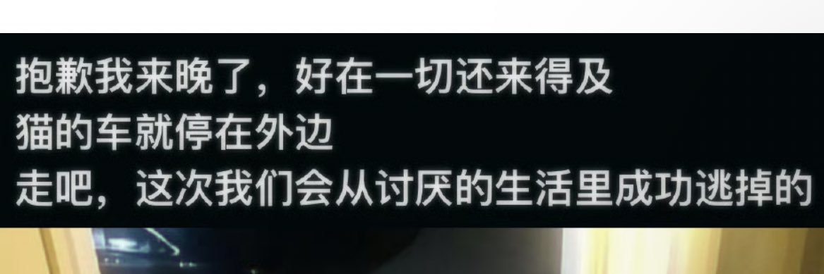 咪の生活记 banner