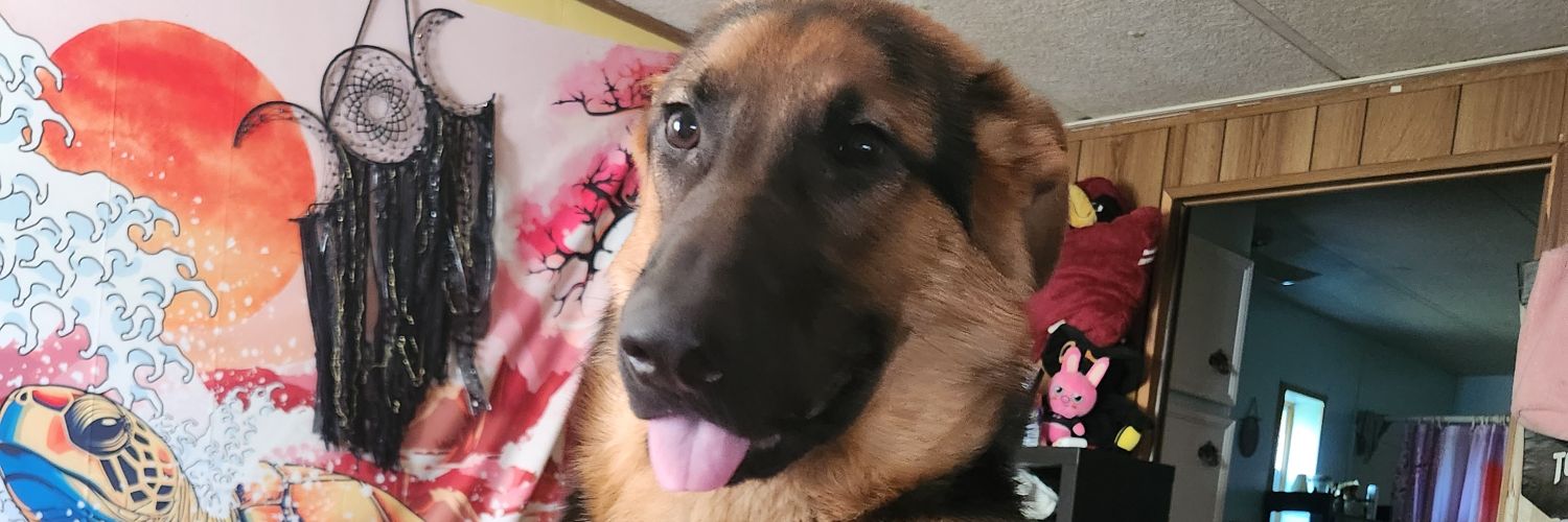 DarthyZeee's profile banner image