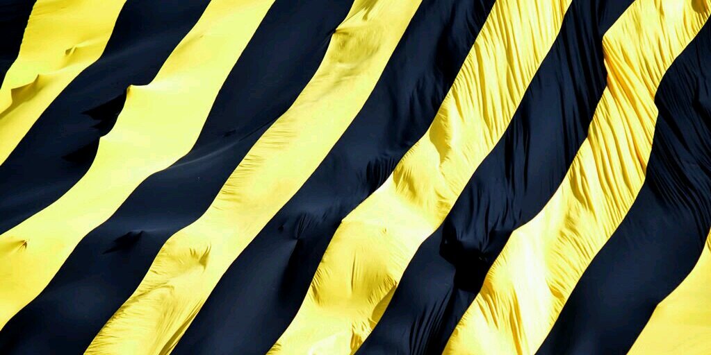 anthonyguardia's profile banner image