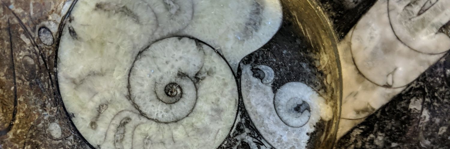 reedwick's profile banner image