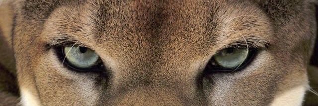 xavent_'s profile banner image