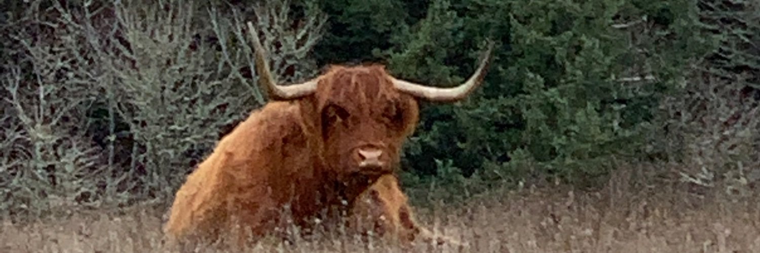Jacob banner