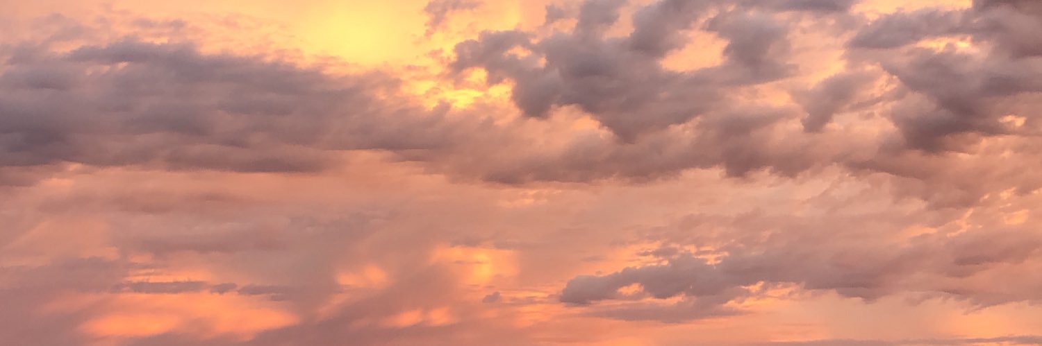EliaDaissaM's profile banner image