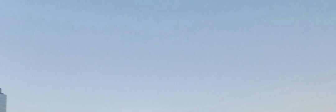Francesco. banner