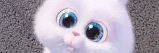 Mei💎 🖤😺 banner