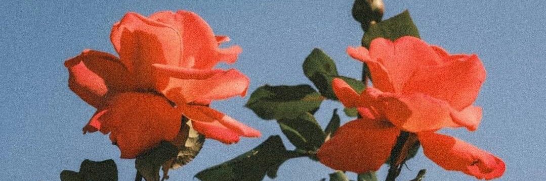 emi banner
