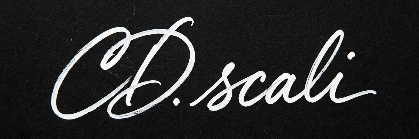 스칼리 Scali banner