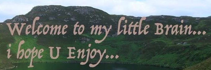 sarah's banner