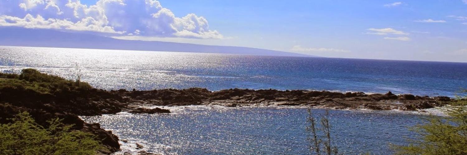 Colleen Travers banner