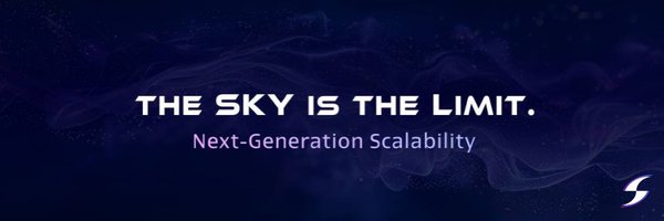 SkyProtocolOrg Profile Banner