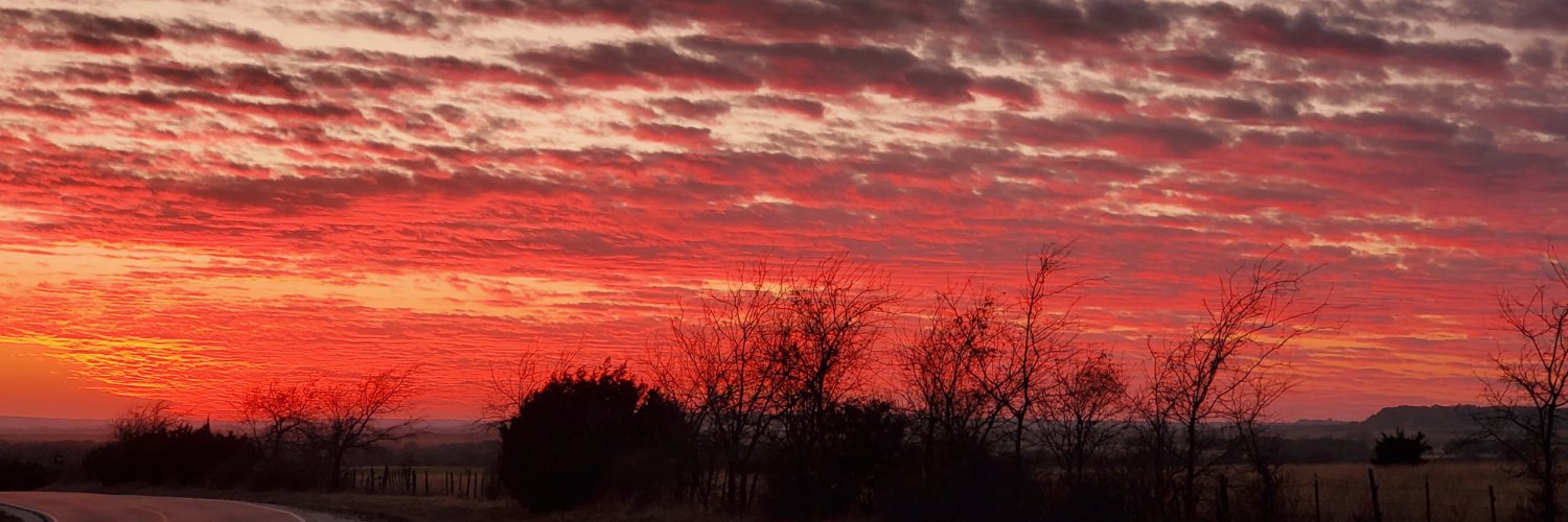 Texas Raised Jesus Saved banner
