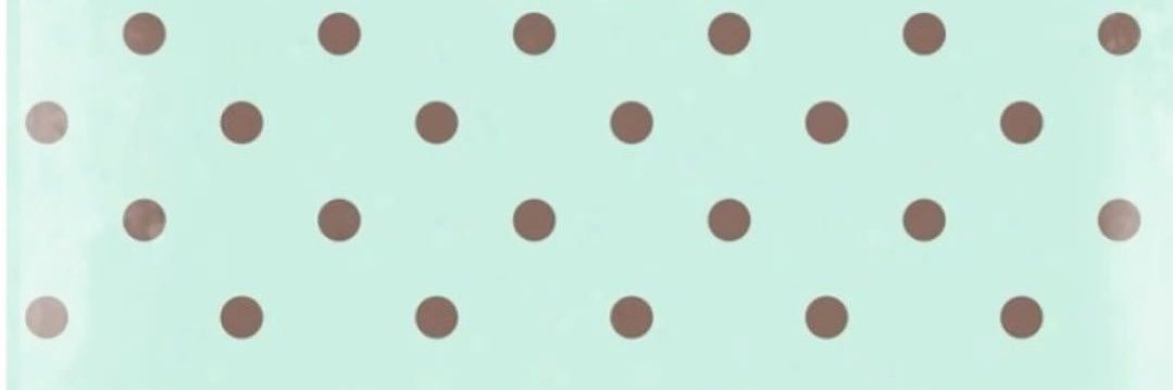 Ｍｉｎｔ ˎˊ˗ ❄️ 🍃| 𝟐𝐃𝐅𝐃 banner