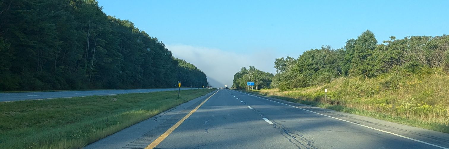 Dumbest Smart Person banner