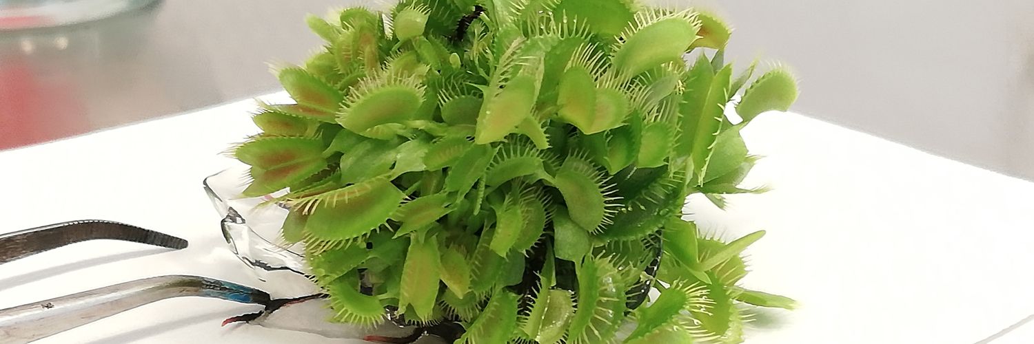 Eduardo Martinez banner