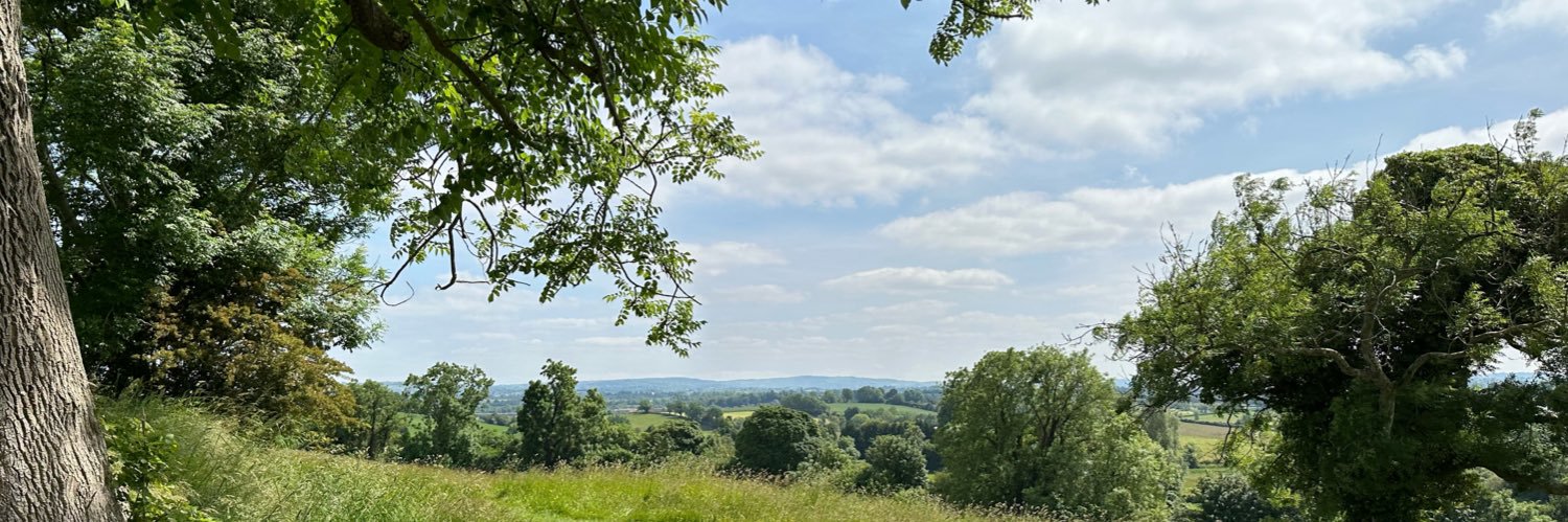 graceboth banner