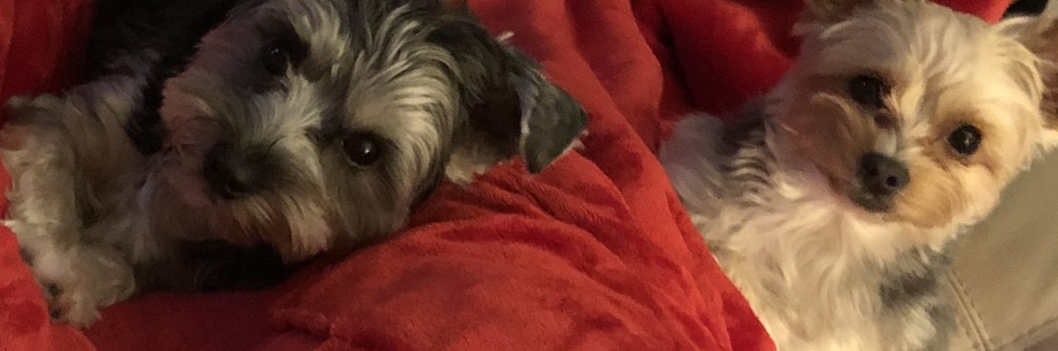 petemayo's profile banner image