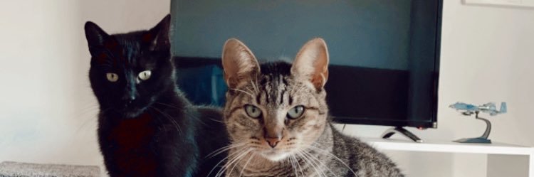 stuzynski_'s profile banner image