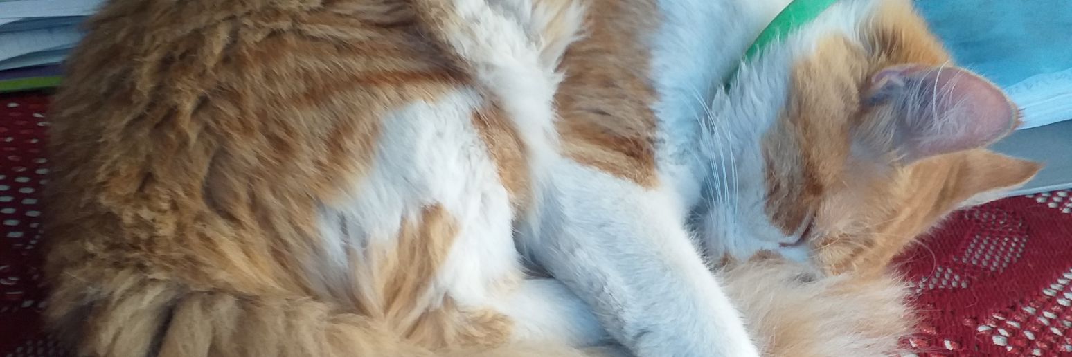 Moronknd's profile banner image