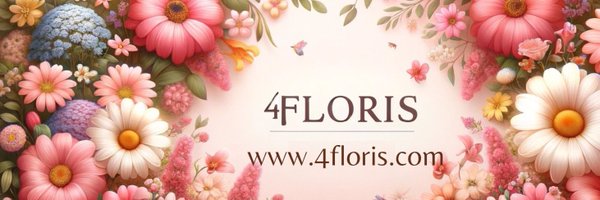 4floris Profile Banner