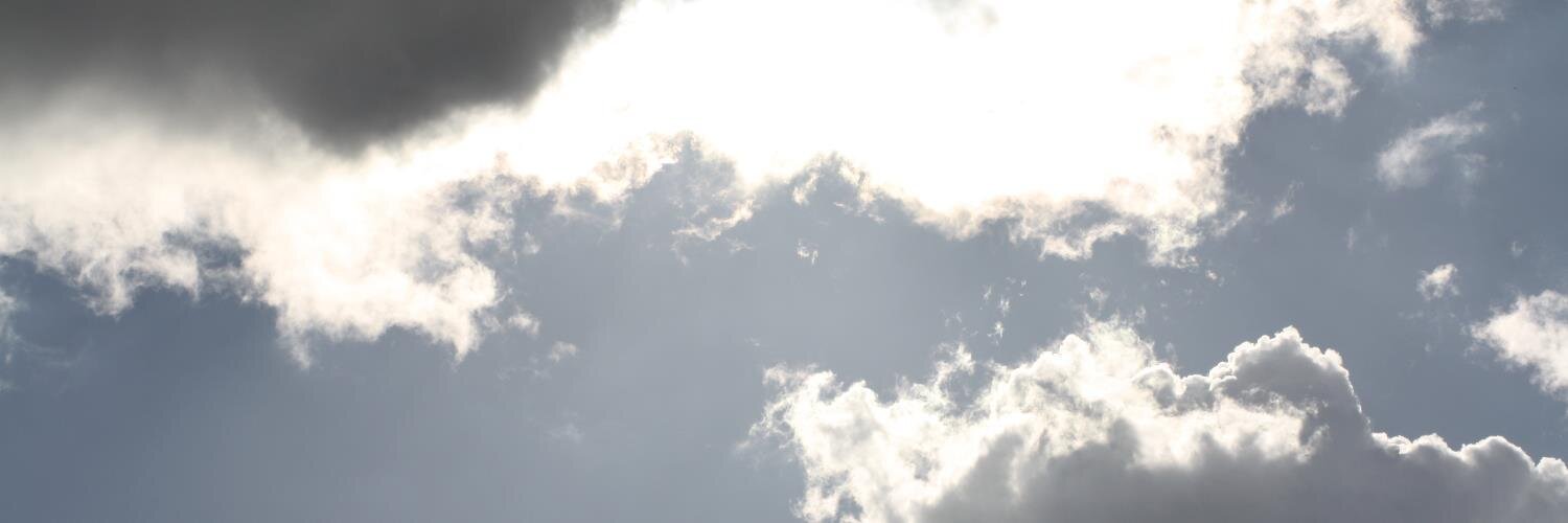 ftantaro's profile banner image