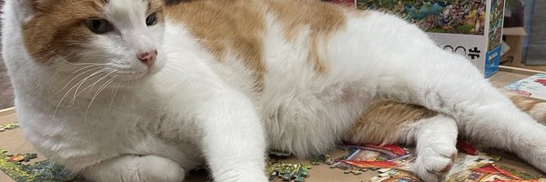 couldbejulesx3 Profile Banner