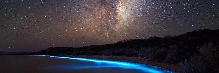 luism1324's profile banner image